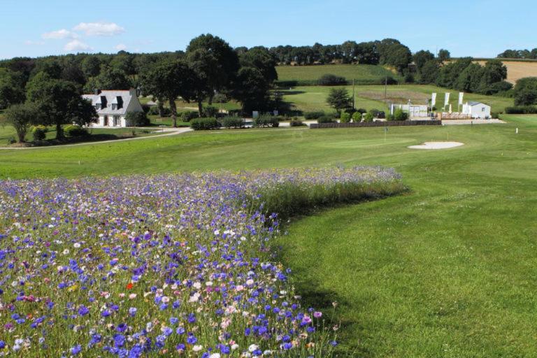 Apartmán Le Coin Cozy Carhaix-Plouguer Exteriér fotografie
